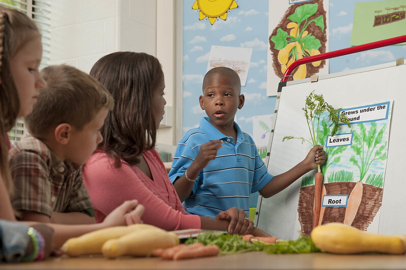 young students learning about carrots in a classroom