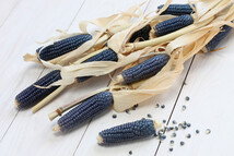 blue corn
