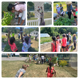 A collage of photos including students in a garden and learning about agriculture