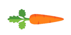carrot