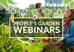 Infographic on the people's garden webinar series with a garden and woman harvesting vegetables