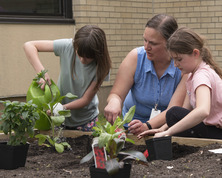 Woman and two girls watering plants in outdoor garden 