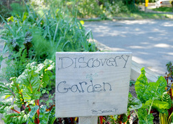 Sign that says discovery garden in an outdoor garden 
