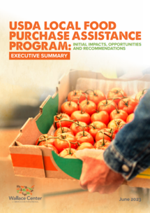 Orange report cover with tomatoes in cardboard pallet box 