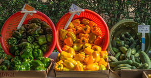 Peppers and cucumber in farmers market basket 