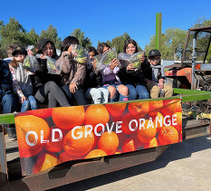 Students at a local farm