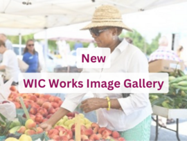 New WIC Works Image Gallery