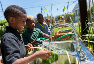 Students washing vegetables from the school garden
