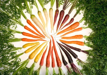 rainbow made from carrots