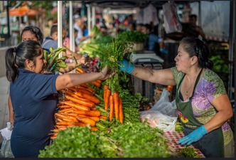 Farmer's Market