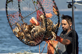 Fisherman crabbing