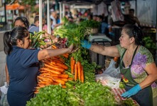 A farmer selling carrots at a farmers market. 