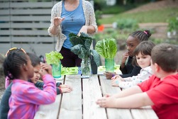A group of young children sitting at a picnic table learning about kale and lettuce. 