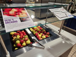Local apples in a cafeteria 