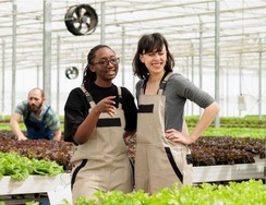 Two women in a greenhouse growing lettuce 