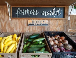 A farmers market stall with zucchini, squash, and onions 