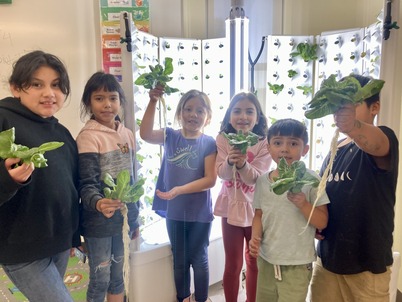 A group of children holding lettuce grown in hydroponic garden. 