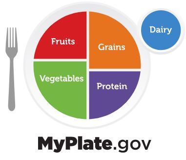 MyPlate Logo with different food components: dairy, vegetables, fruit, grains, and protein