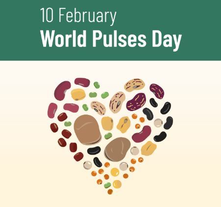 Wolrd Pulses Day logo: a heart shaped figure made up of different pulses, using kidney beans and black beans and more.