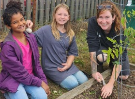 Two students and a teacher planting garlic in a garden. 