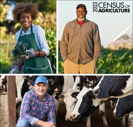 A collage of three farmers with the 2022 Census of Agriculture logo 