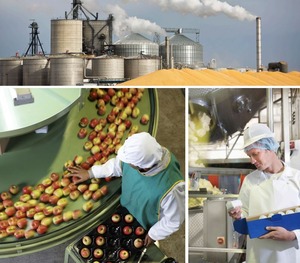 A collage of photos including apples being picked in an assembly line and a worker holding a stick of butter. 