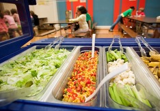 A school cafeteria salad bar with an array of vegetables, including lettuce, corn and tomato salsa, celery, and cauliflower. 