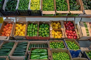 A colorful array of vegetables, including zucchini, green peppers, red peppers, and cucumbers. 