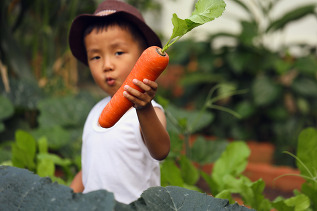 Young boy holding a carrot.