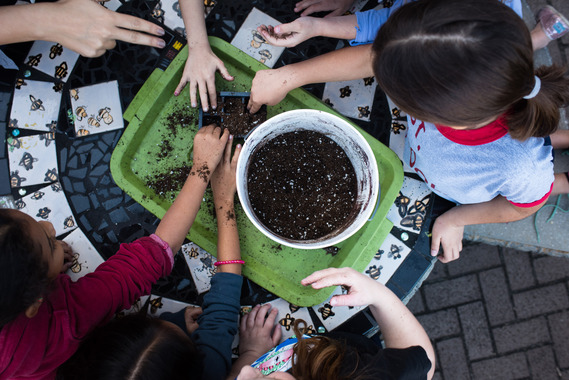 kids in a garden planting seeds