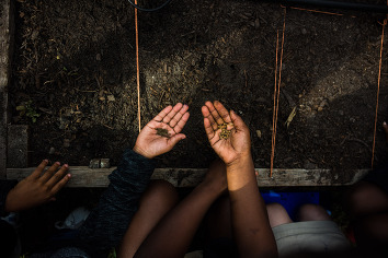 kids holding seeds