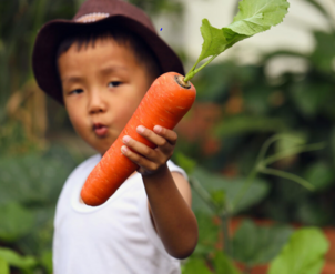 Little boy holding a carrot