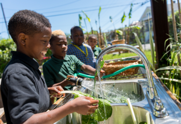 students washing vegetables