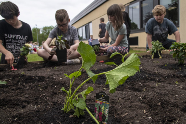 Children planting veg in the garden