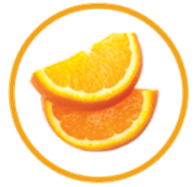Slices of Oranges