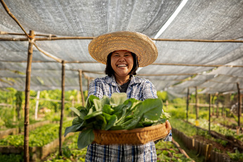 Local Farmer