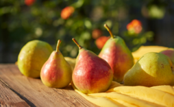 pears