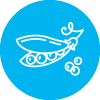 Pea Award Icon
