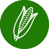 Icono de mazorca de maíz