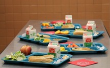 table of school lunches on trays. 