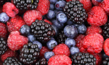 A mix of fresh blueberries, blackberries, and raspberries