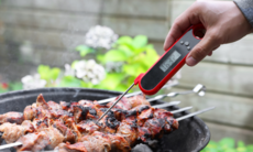 A hand using a meat thermometer to check the temperature of kebabs on a grill
