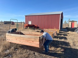 Students setting up garden beds.
