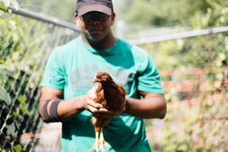 Farmer Holding Chicken