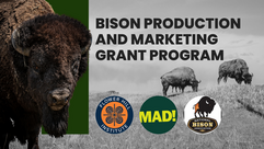 Bison and Logos for Flower Hill Institute, MAD, and the National Bison Association