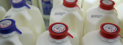 Image of plastic milk jugs
