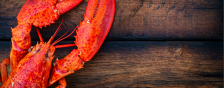 lobster