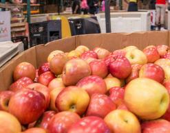 Box full of apples