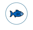 illustration of a blue fish