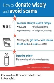 charity fraud infographic